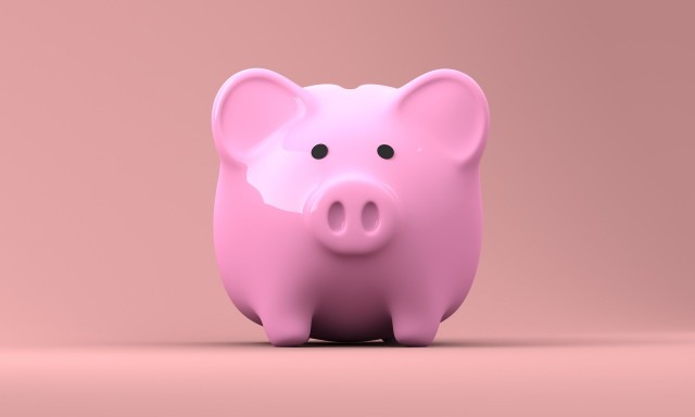 piggy-bank-2889042_1920